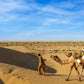 Marrakech com Deserto de Zagora