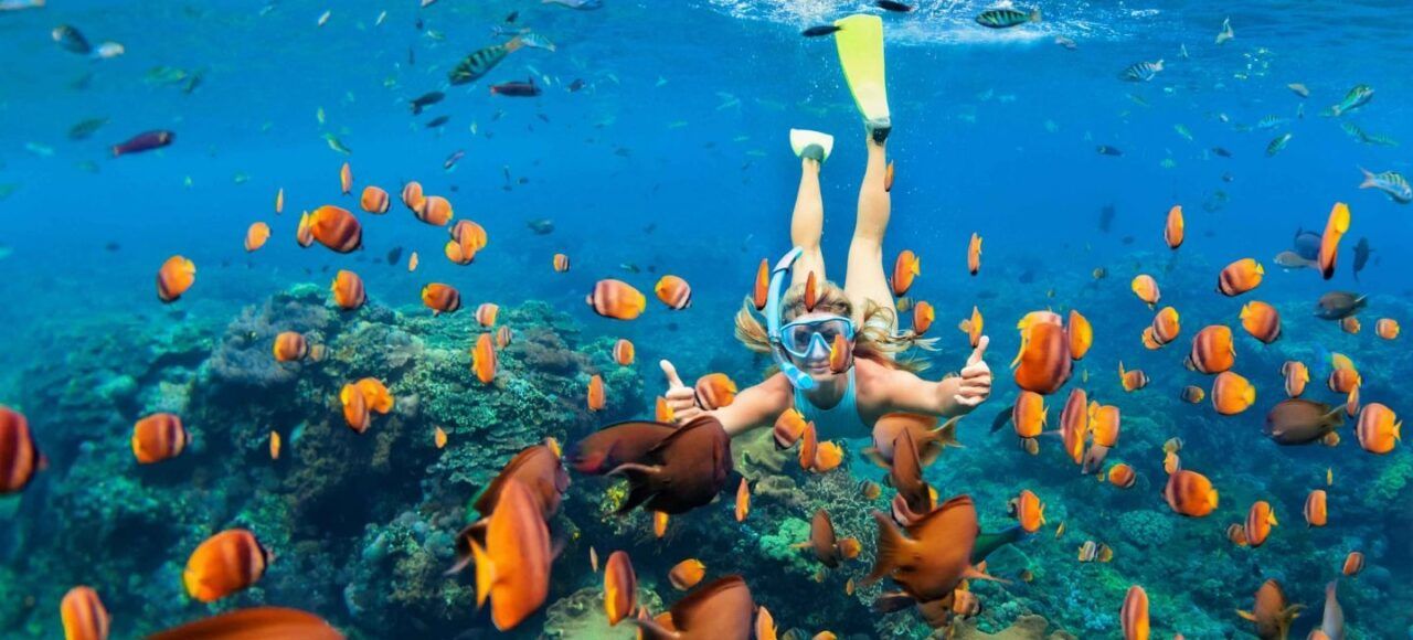 Pacote Tesouros do Egito