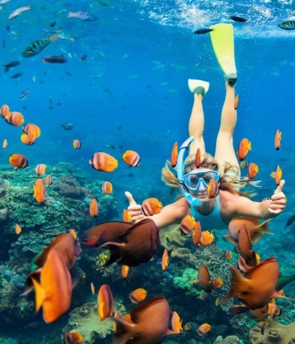 Pacote Tesouros do Egito