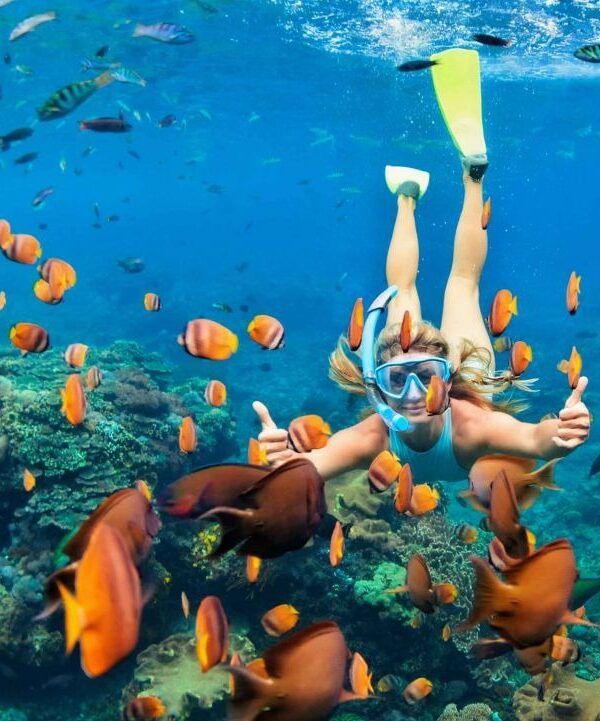 Pacote Tesouros do Egito