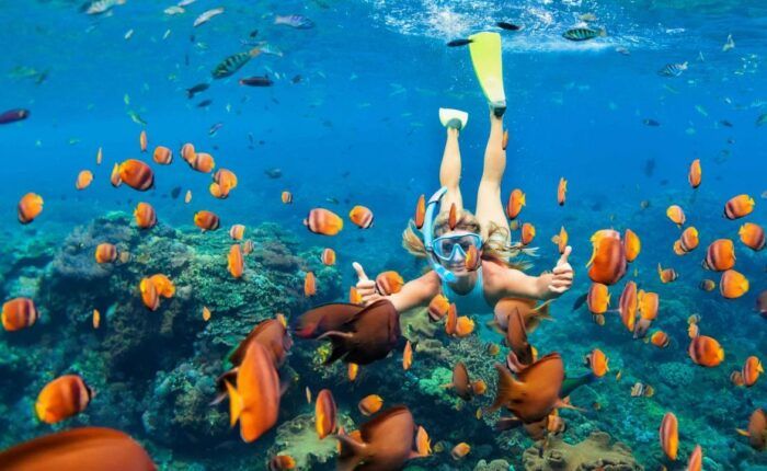 Pacote Tesouros do Egito