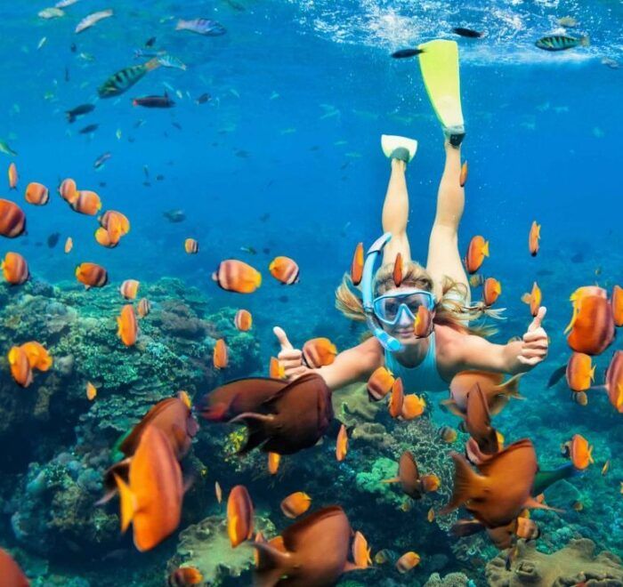 Pacote Tesouros do Egito