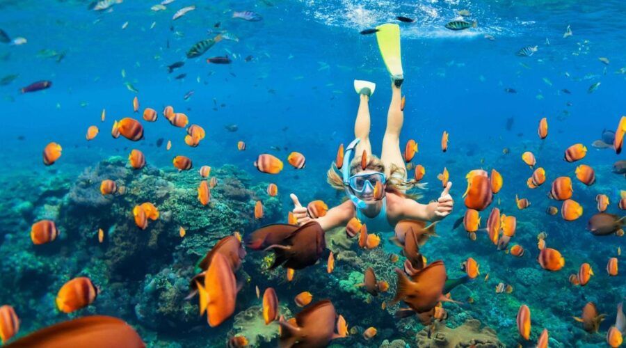 Pacote Tesouros do Egito