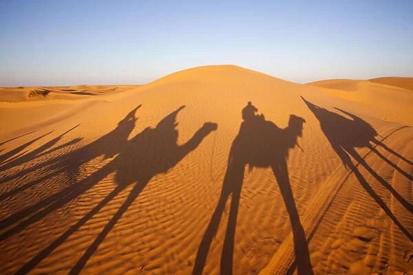 Dunas do Saara tunisiano com sombras de viajantes e dromedários