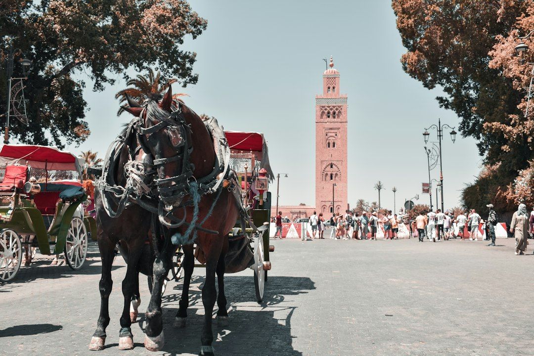 Carruagem e minarete da Koutoubia em Marrakech. Foto: mohamed visuals / Unsplash.