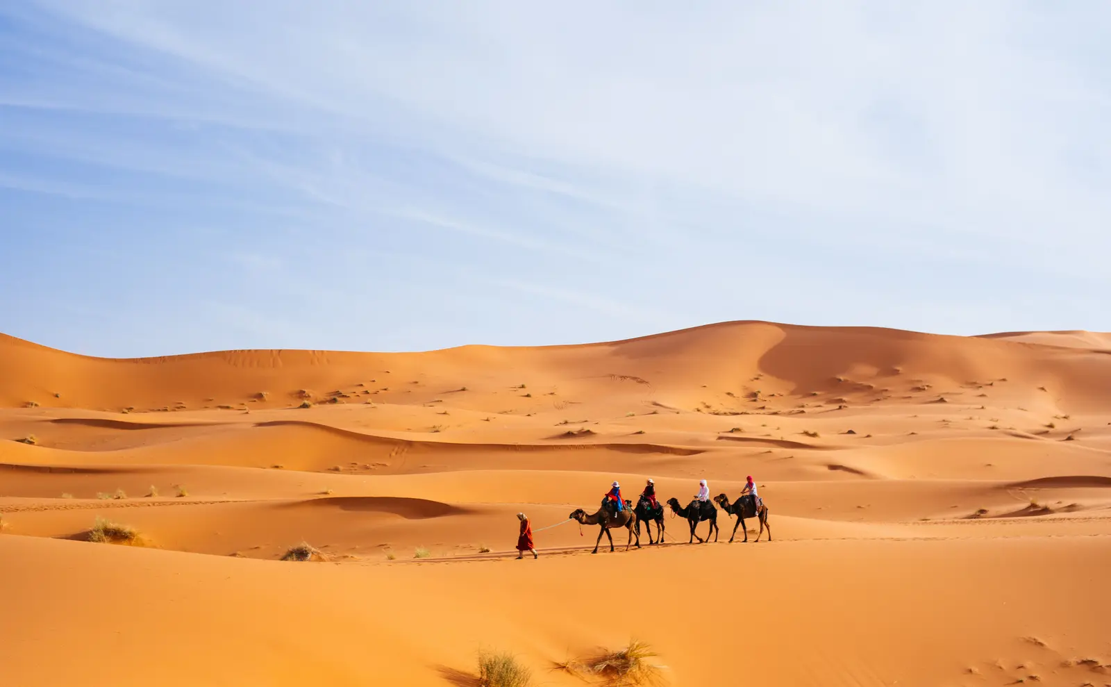 Caravana de camelos atravessa dunas no deserto