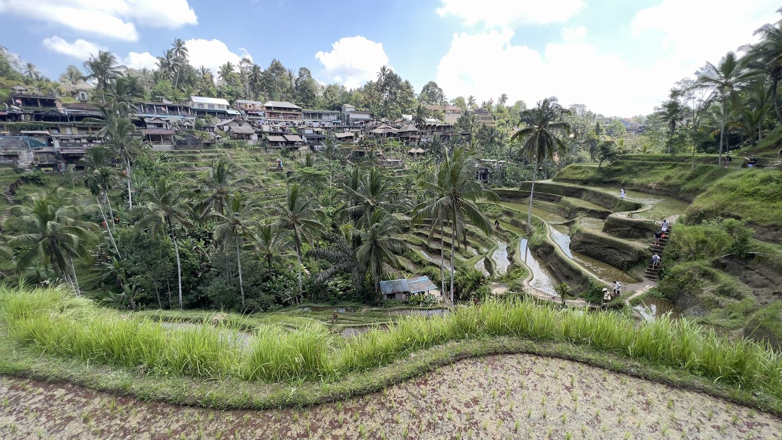 Terraços de Tegalalang/Tegallalang, Bali