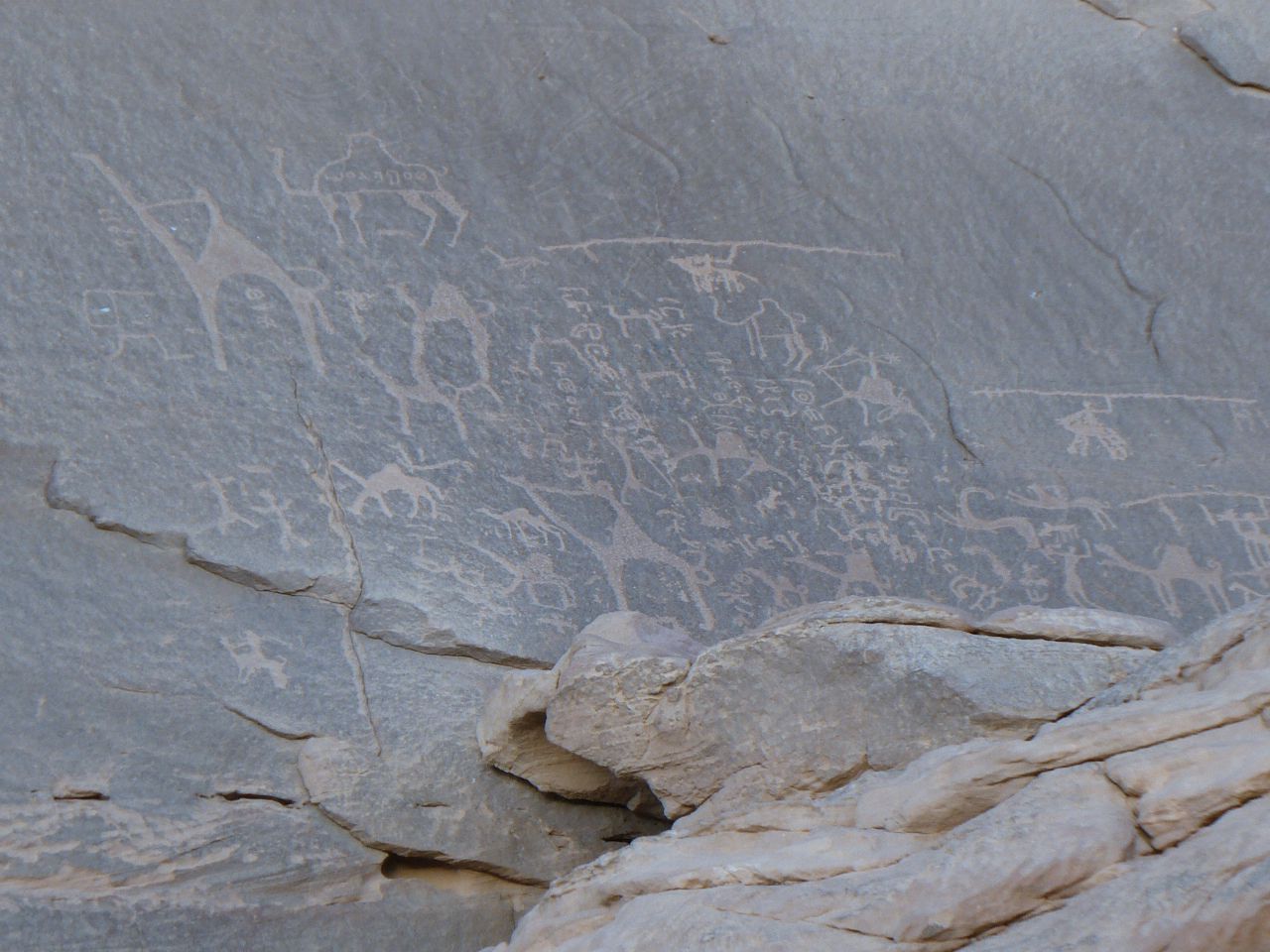 Parede rochosa de Wadi Rum com figuras incisas de camelos e outros animais, além de inscrições claras sobre a pedra.