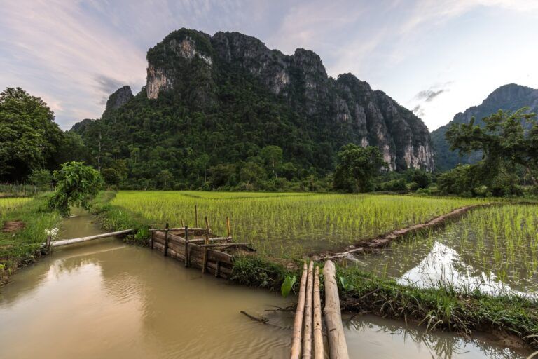 Montanhas cársticas e campos verdes em Vang Vieng, no Laos.
