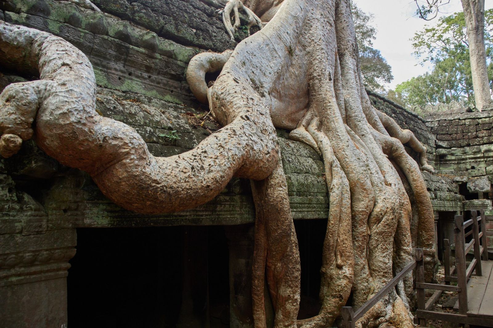 Raízes sobre galerias de pedra do templo Ta Prohm, em Angkor.