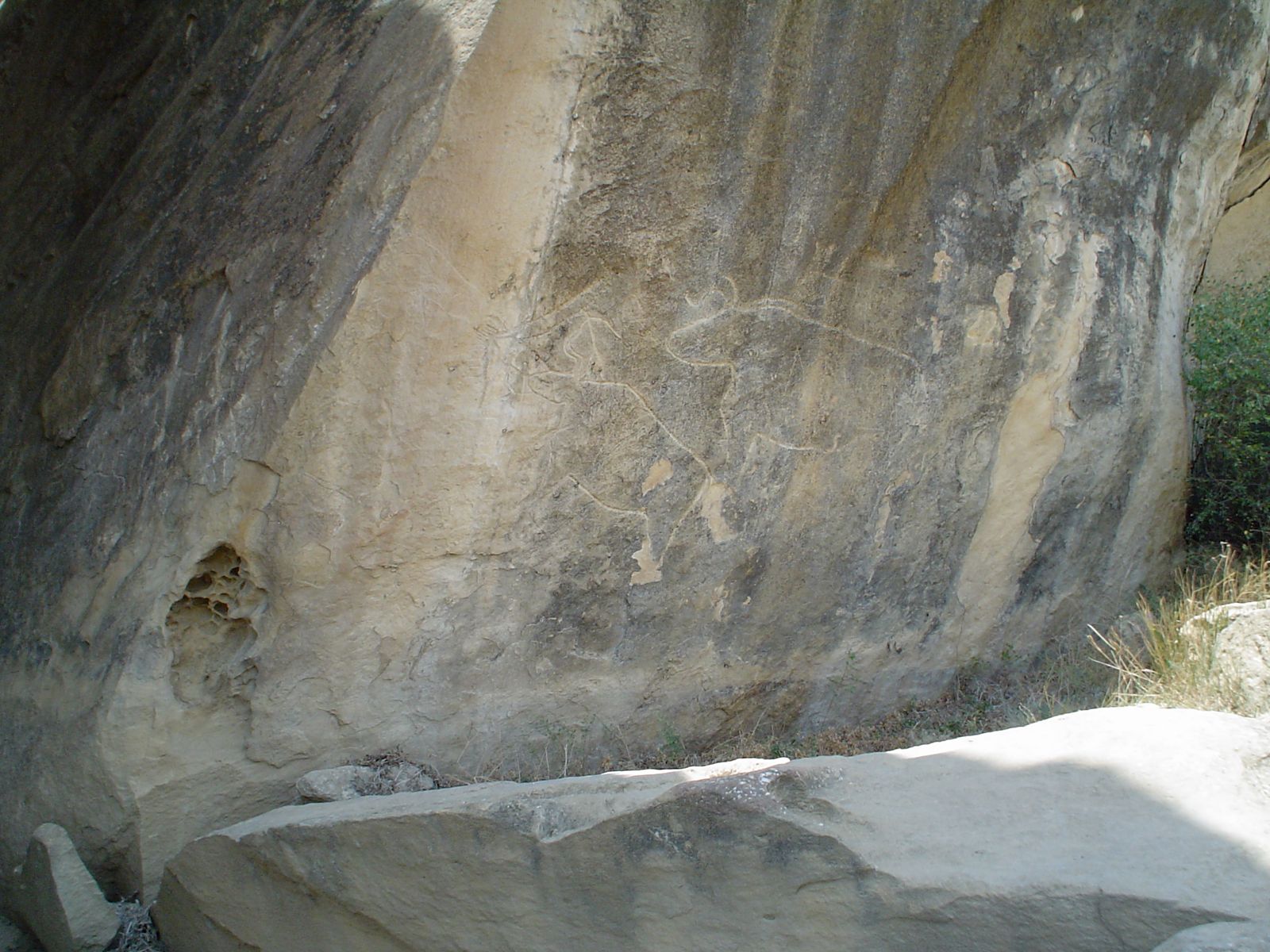 Figuras de bovídeos gravadas em uma rocha na reserva de Gobustan.