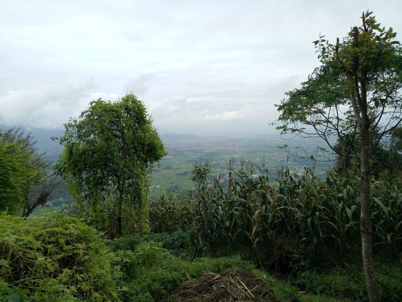 Vista de Bhaktapur a partir de Nagarkot, com vegetação em primeiro plano e vale sob céu nublado.
